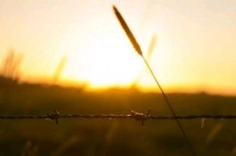 为什么说做网站很难？