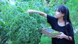 李子柒起诉杭州微念，挺吃惊的！