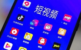 抖推联盟发抖音短视频赚钱是真的还是骗局？抖推联盟是正规项目吗内幕揭秘