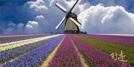 无意间点燃生命的动感