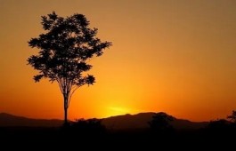 人太过于怕死反而是一件坏事