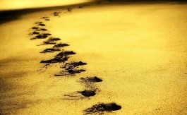 时代的一粒沙，落在普通人身上就是一座山。