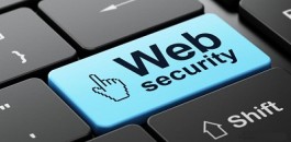 定期检查网站内容很重要！