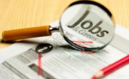 应届毕业生到底应该去上班还是从事自由职业！