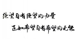 在一个领域内深耕的人，言辞之间自有力量