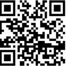 天天快报APP，6个微信秒到红包