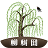 杨树网