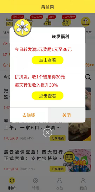 吊兰网应用截图