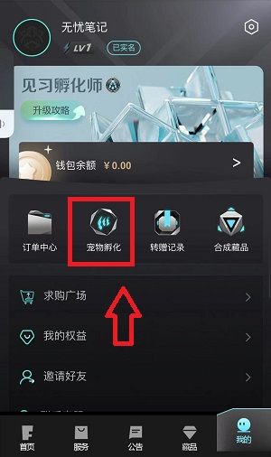 非梵艺术数藏应用截图
